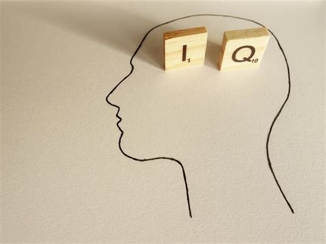 why are iq tests so hard|why is iq controversial.